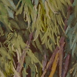 Detail of Bamboo Patterns by Steve Williamson