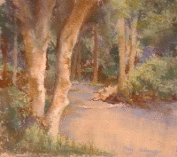 The Way Through The Woods